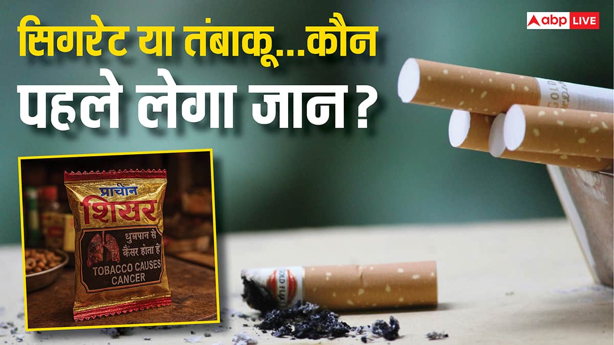 tobacco free zyn The dark side of Zyn: How tobacco-free nicotine pouches may harm your health