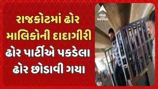 Rajkot news: રાજકોટમાં ઢોર માલિકોની દાદાગીરી,  ઢોર પાર્ટીએ પકડેલા ઢોર છોડાવી ગયા