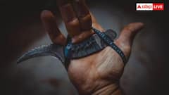 Metro Rules:મેટ્રોમાં પ્રવાસ કરવાના નિયમો જાણો છો? આ ચીજો લઇ જવા પર છે પ્રતિબંધ