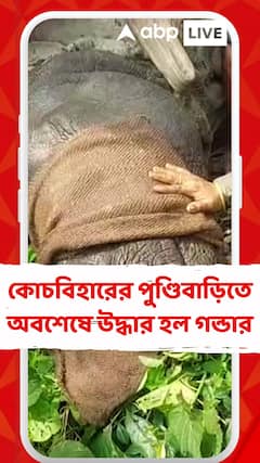 Coochbehar News: কোচবিহারের পুণ্ডিবাড়িতে অবশেষে উদ্ধার হল গন্ডার