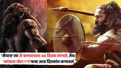 'कांतारा चॅप्टर 1'चा नादखुळा, 'सैयारा'नं जे 46 दिवसांत कमावलं, तेवढं रिषभ शेट्टीनं फक्त आठच दिवसांत मिळवलं