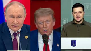 'Absurd': Putin Mocks Zelenskyy's Suggestion Of Nobel Prize For Trump