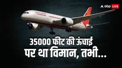 विएना से दिल्ली आ रही एयर इंडिया की फ्लाइट, आसमान में ऐसा क्या हुआ? दुबई करनी पड़ी डायवर्ट