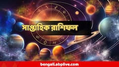 বসের তারিফ, সহকর্মীর সাহায্য, পদোন্নতির আলোচনা, অপেক্ষা সার্থক আগামী সপ্তাহেই! ৩ রাশির দারুণ সময়