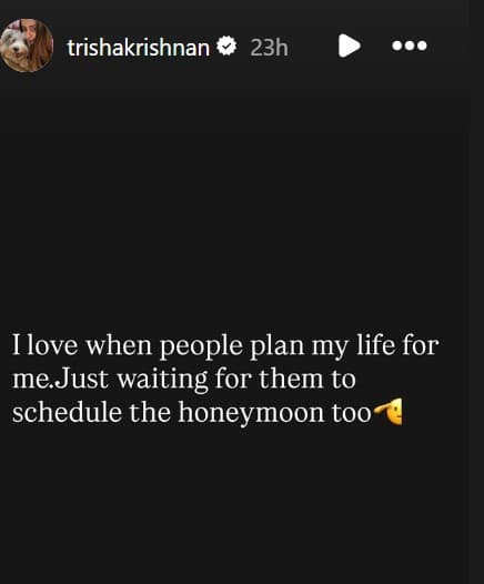 Trisha Krishnan: హనీమూన్ షెడ్యూల్ కూడా చెప్పేయండి - పెళ్లి వార్తలపై త్రిష ఫన్నీ పోస్ట్