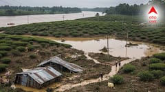 বাড়তে পারে চা-এর দাম? নদীর জল ঢুকে বিপর্যস্ত চা বাগান, মাথায় হাত চা-শ্রমিক থেকে বাগান কর্তৃপক্ষের
