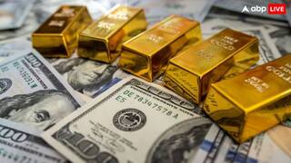 पाकिस्तान के मुकाबले कितना घटा भारत का खजाना? दोनों देशों के विदेशी मुद्रा भंडार का क्या है हाल?