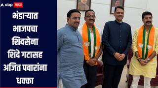 निवडणुकांच्या तोंडावर भाजपचा शिंदे गटासह अजित पवारांना धक्का, भंडाऱ्यात राजकीय समीकरणं बदलणार 