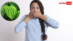 खाना खाने के बाद खा लें ये हरी चीज, सांस की बदबू से लेकर दांतों का पीलापन भी होगा दूर