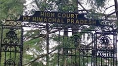 हिमाचल: हाईवे पर आवारा मवेशियों के चलते बढ़ते हादसों पर हाईकोर्ट सख्त, सरकार से मांगी रिपोर्ट