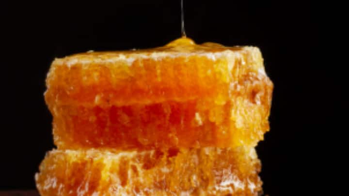 মৌমাছিকে অনেকে পশু বলে মানতেও চান না। তাঁদের মতে, মৌমাছি, বোলতা আসলে পতঙ্গ। তারা পরাগ সঞ্চার না ঘটালে ফুলও ফুটবে না, ফলও ফলবে না। ফলে তাদের তৈরি মধু নিরামিষই।