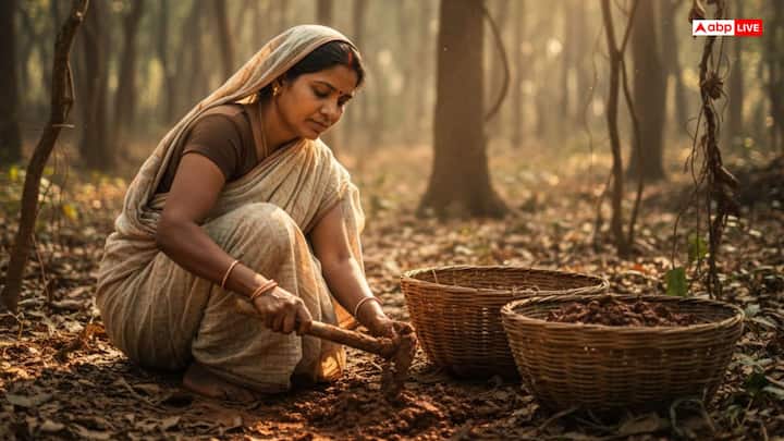 एक दिन कार्तिक मास के कृष्ण पक्ष की अष्टमी से कुछ दिन पहले दिवाली की तैयारी के लिए साहूकार की बहू जंगल में मिट्टी लेने गई. वह मिट्टी से घर लीप कर उसे सजाना चाहती थी. मिट्टी खोदते समय उससे अनजाने में एक गलती हो गई.