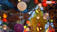 Diwali 2025: चीन से कितने में आती है भारत में बिकने वाली चायनीज झालर, जानें दुकानदार को कितना होता है मुनाफा?