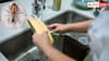 Home Tips: किचेन की सिंक में दिख रहे हैं कॉकरोज, फ्री में इनसे ऐसे पा सकते हैं छुटकारा