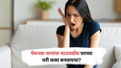 Benefits of Guava Leaves : घरच्या घरी तयार करा पेरूच्या पानांचा माऊथवॉश