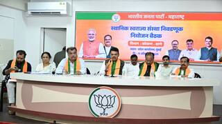 Devendra Fadnavis : स्वबळावर की महायुतीतून? भाजपच्या जिल्हाध्यक्षाला निर्णयाचा अधिकार, मुख्यमंत्र्यांचे निर्देश