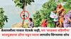 Nandurbar Ladki Bahin Yojana : केवायसीला गावात नेटवर्क नाही, 'लाडक्या बहिणींना' सातपुड्याचा डोंगर चढून घ्यावा लागतोय सिग्नलचा शोध, झाडांच्या फांद्यांवर फोन अडकवतात अन्...