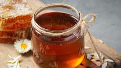 Facts about Honey: মধু কি নিরামিষ নয়? কেন এত বিতর্ক?