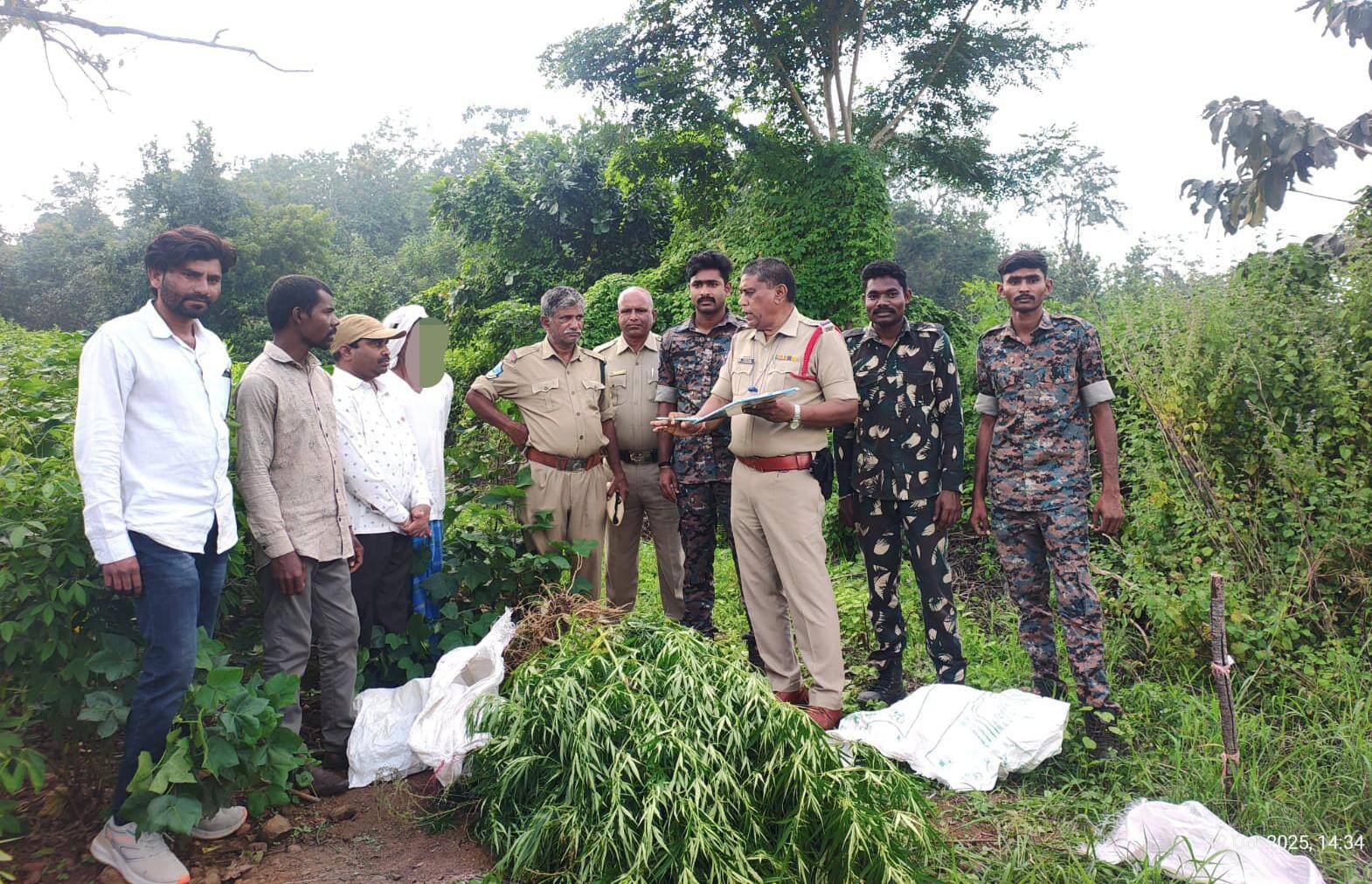 Crime News: డ్రోన్ తో గాలించి గంజాయి పట్టుకున్న ఆసిఫాబాద్ జిల్లా పోలీసులు