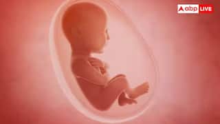Baby In Womb: ગર્ભમાં જ સાંભળવાનું શરુ કરી દેશે છે બાળકો, જાણો દર મહિને કેવા થાય છે ફેરફાર