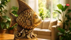घर में पीतल की मछली क्यों रखनी चाहिए? जानिए इसका वास्तु, ज्योतिष और धार्मिक महत्व