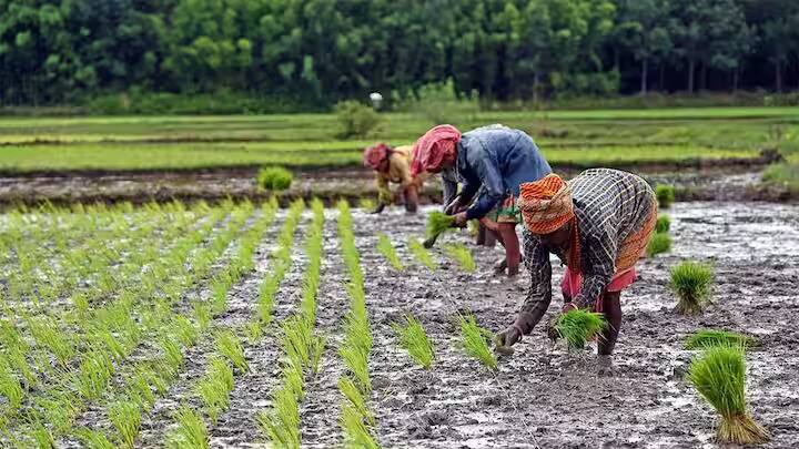કેન્દ્ર સરકારની મહત્ત્વકાંક્ષી પ્રધાનમંત્રી કિસાન સન્માન નિધિ યોજના દેશના કરોડો ખેડૂતોને આર્થિક રીતે મજબૂત કરવાનો ઉદ્દેશ્ય ધરાવે છે. આ યોજના હેઠળ, દર ચાર મહિનાના ગાળામાં ₹2,000 નો એક હપ્તો, એમ વર્ષ દરમિયાન કુલ ₹6,000 ની સહાય સીધી ખેડૂતોના બેંક ખાતામાં જમા થાય છે.
