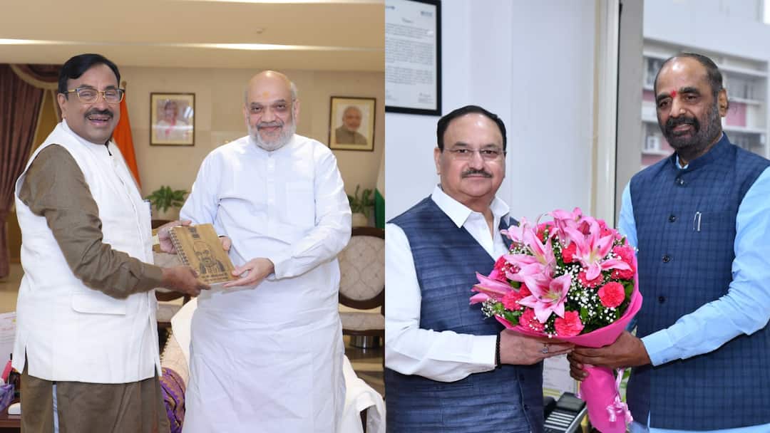 sudhir mungantiwar vs hansraj ahir chandrapur bjp politics leaders delhi visit maharashtra news VIDEO : राज्यातल्या प्रश्नांसाठी मुनगंटीवारांची दिल्लीवारी, त्यानंतर हंसराज अहिरांनीही दिल्ली गाठली; चंद्रपुरात काय शिजतंय?