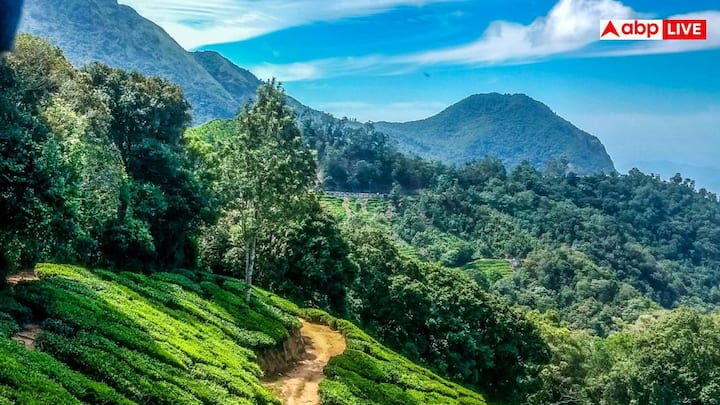इसमें पहले नम्बर पर आता है वट्टाकनाल, तमिलनाडु- कोडाईकनाल के पास बसा वट्टाकनाल, पहाड़ों के बीच एक छोटा लेकिन बेहद खूबसूरत हिल स्टेशन है. यहां की वादियां, घुमावदार पगडंडियां और बादलों से घिरे पहाड़ मन को सुकून देते हैं. छोटे-छोटे कैफे और शांत वातावरण इस जगह को भीड़ से दूर एकदम अलग अनुभव बनाते हैं.