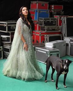 टीवी की 'अनुपमा' पर चढ़ा ग्लैमर का खुमार, डीपनेक गाउन में दिए ऐसे-ऐसे पोज