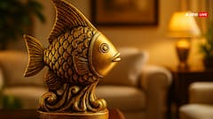 घर में पीतल की मछली क्यों रखनी चाहिए? जानिए इसका वास्तु, ज्योतिष और धार्मिक महत्व