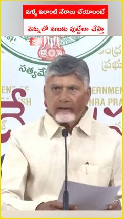 మళ్ళీ ఇలాంటి నేరాలు చేయాలంటే వెన్నులో వణుకు పుట్టేలా చేస్తా: సీఎం చంద్రబాబు
