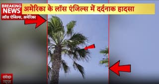 Los Angeles: Helicopter Crashes in Huntington Beach, 5 Including Child Hospitalized | ABP News