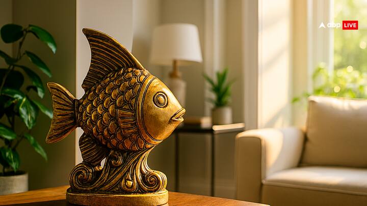 The most auspicious direction to keep a brass fish in the house is North and East. By keeping the fish in the right direction, positive energy is maintained in the house.