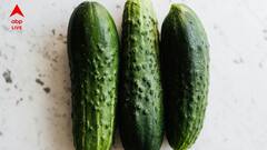 প্রতিদিন একটা শসা কেন খাবেন? কী কী উপকার পাওয়া যাবে এই ফল নিয়মিত খেলে