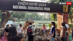 लंबे इंतजार के बाद अब दिल्ली वालों के लिए खुल जाएगा चिड़ियाघर, इस दिन से कर पाएंगे सैर?