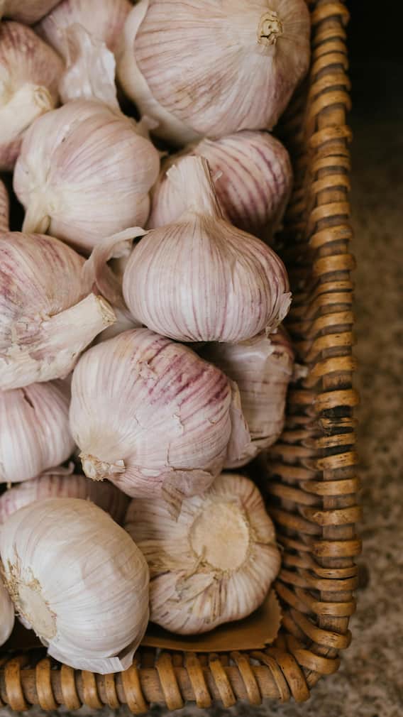 8 Powerful Benefits Of Eating Garlic Daily