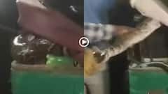 Video: ऑटो के अंदर छिपकर बैठा था दरिंदा, 7 फीट लंबे अजगर को देख निकल गई चीखें, वीडियो वायरल
