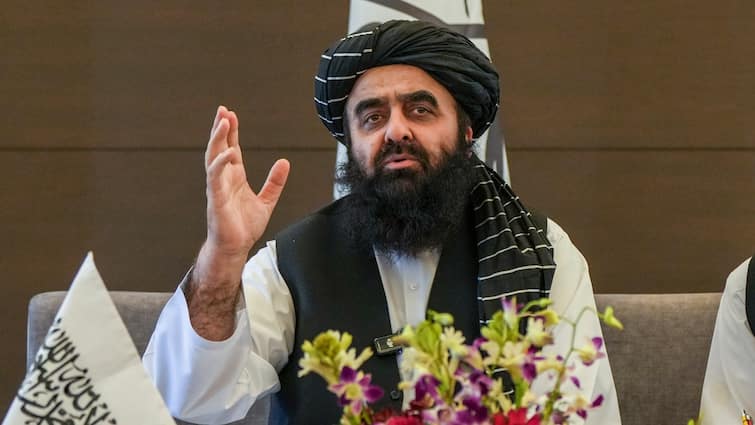 Afghanistan FM Muttaqi Hits Out At Pakistan, Denies TTP Presence: ‘Control Issues In Your Terri