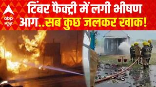 Hariyana News: टिंबर फैक्ट्री में लगी भीषण आग, सब कुछ जलकर राख ! | Yamuna Nagar | Breaking