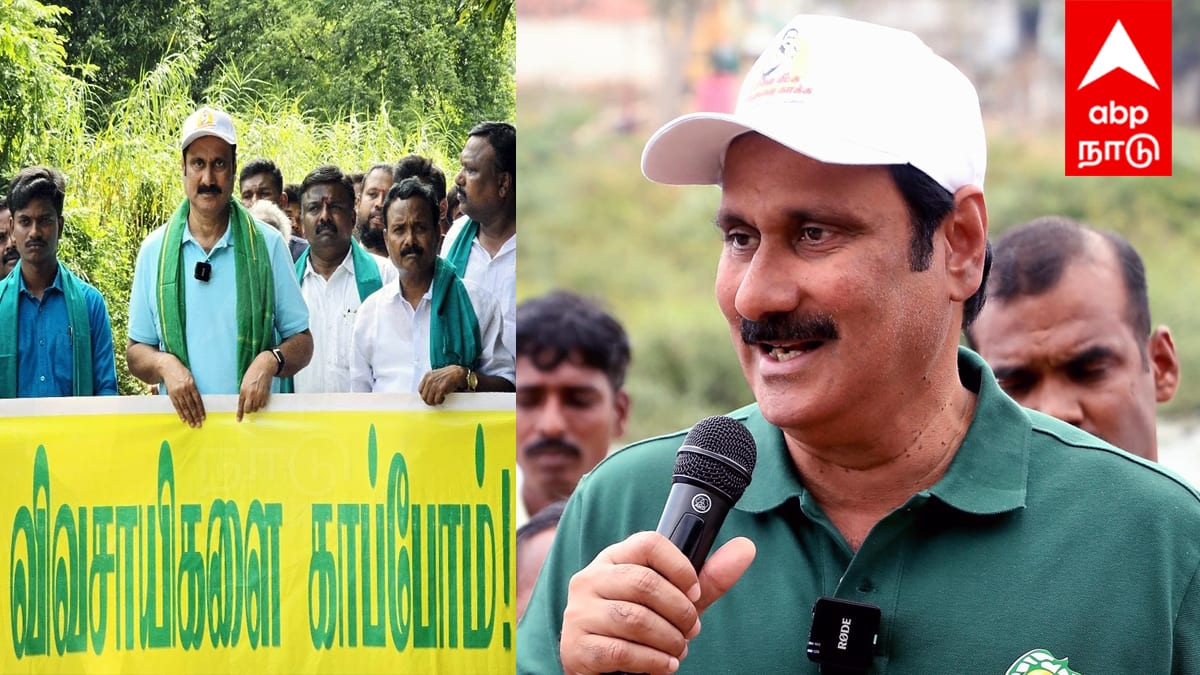 உரம் தட்டுப்பாடு: விவசாயிகள் கண்ணீர்!அரசு நடவடிக்கை எடுக்க வேண்டும் ! அன்புமணி ராமதாஸ்