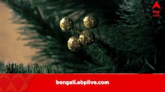 সোনা ফলছে গাছে, শরীরের বিশেষ অংশে রয়েছে সঞ্চিত, উদ্ভিদ নিয়ে গবেষণায় চমকপ্রদ আবিষ্কার বিজ্ঞানীদের