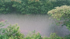 Stay Alert! IMD Predicts Kerala’s Heaviest Rainfall Spell This October