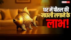 घर में पीतल की मछली क्यों रखनी चाहिए? जानिए इसका वास्तु, ज्योतिष और धार्मिक महत्व