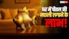 घर में पीतल की मछली क्यों रखनी चाहिए? जानिए इसका वास्तु, ज्योतिष और धार्मिक महत्व