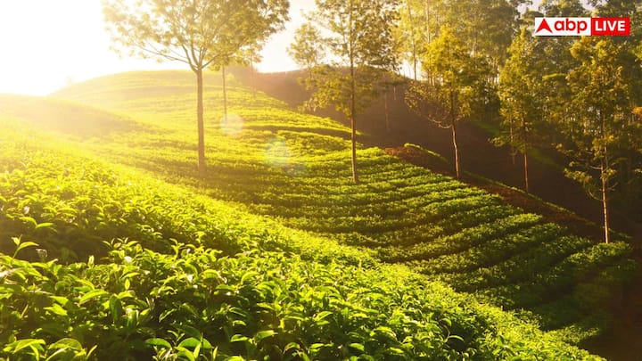 तिर्थन वैली, हिमाचल प्रदेश- ‘हिमाचल का बेस्ट कीप्ट सीक्रेट’ कही जाने वाली तिर्थन वैली हरियाली, बर्फीली चोटियों और साफ नदी के लिए जानी जाती है. यहां ट्रैकिंग, फिशिंग और कैंपिंग का मज़ा लिया जा सकता है. यह जगह उन लोगों के लिए है जो भीड़ से दूर नेचर में सुकून तलाशते हैं.