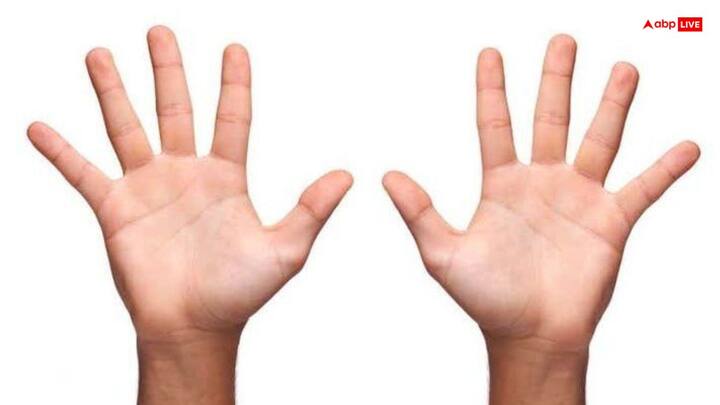 అరచేతిలోని భాగ్య రేఖ వ్యక్తి జీవితానికి ఒక తెరిచిన పుస్తకంలా ఉంటుంది. ఇది జీవితంలో ఏ రంగంలో విజయం లభిస్తుందో, ఎక్కడ అడ్డంకులు వస్తాయో  ఏ అవకాశాలు కొత్త మార్గాలను తెరుస్తాయో తెలియజేస్తుంది. తెగిపోయిన రేఖ తాత్కాలిక కష్టాలకు సంకేతం, అయితే జీవితంలో విజయం లభించదని దీని అర్థం కాదు, కానీ కృషి  దృఢ నిశ్చయంతో వ్యక్తి తన విధిని తానే నిర్మించుకోగలడని ఇది సూచిస్తుంది.