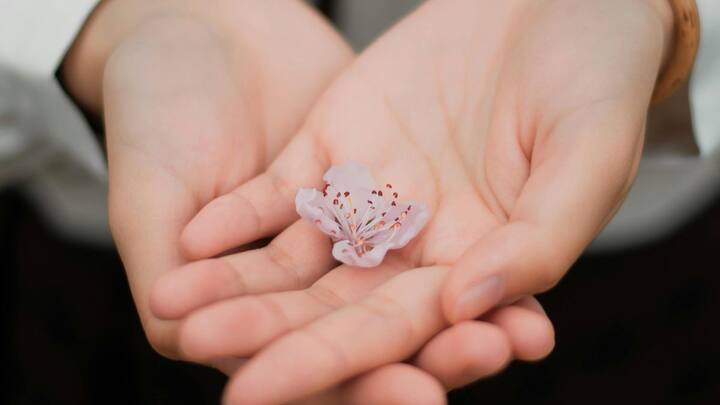 लेकिन इसके साथ कई गंभीर समस्याएं भी होतीं. त्वचा एक सुरक्षात्मक अवरोध का काम करती है. पारदर्शी होने पर संक्रमण का खतरा बहुत बढ़ जाता, क्योंकि बैक्टीरिया और वायरस सीधे शरीर में प्रवेश कर सकते हैं.