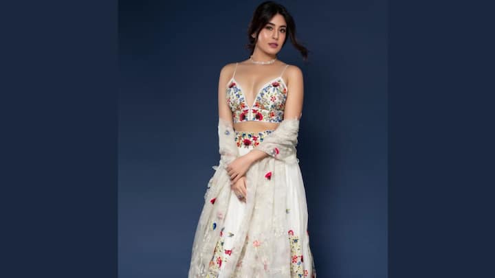 White Lehenga With Rose Motifs: Kritika Kamra showcases her vibrant festive fashion look. She wears a striking lehenga ensemble featuring a plunging V-neck choli embroidered with bold, colourful floral motifs, paired with a white skirt that combines a pleated lower panel with a sheer, intricately embroidered overlay adorned with matching floral designs; this look is completed with a delicate choker necklace and a sheer embroidered shawl.  (Image Source: Special Arrangement)