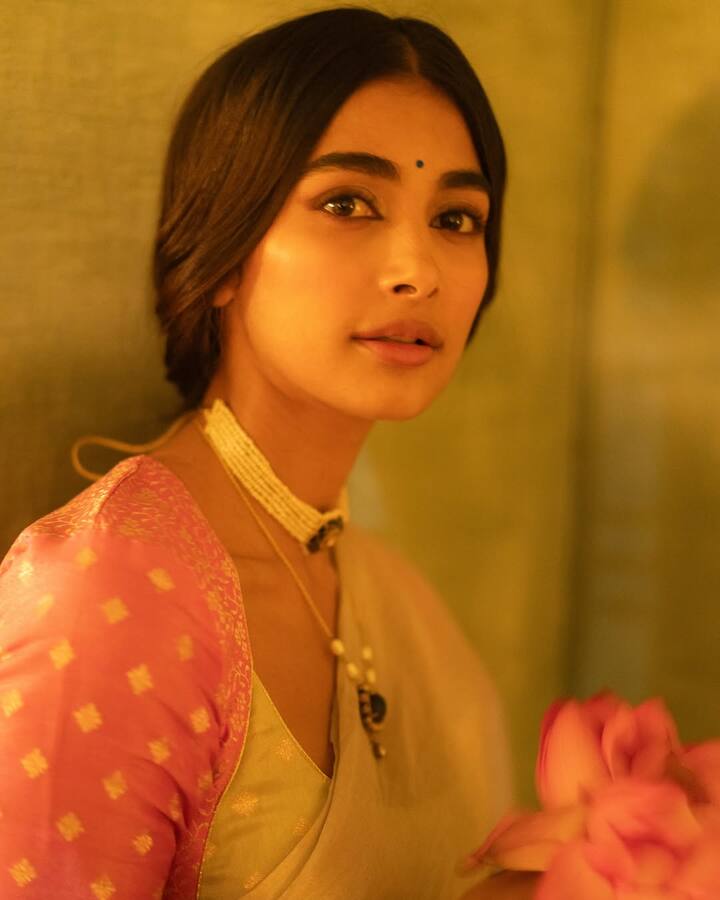 पूजाच्या उत्पन्नाचा मुख्य स्रोत चित्रपट आहे. याशिवाय, अभिनेत्री जाहिराती आणि सोशल मीडियाद्वारेही भरपूर कमाई करते.