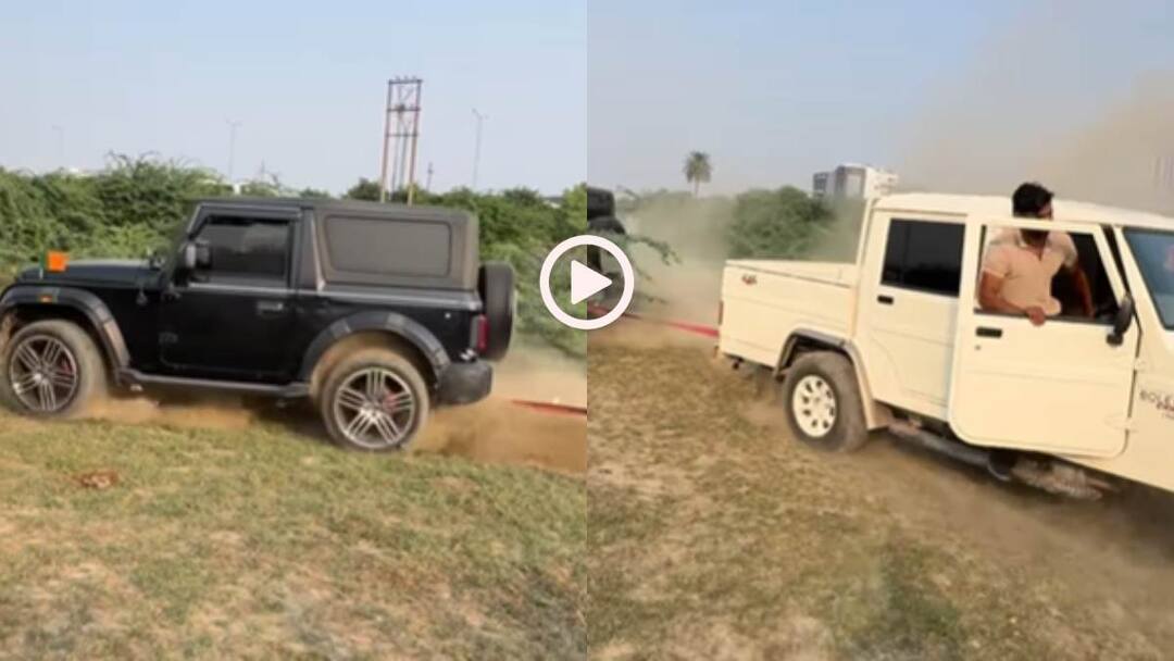 Watch Bolero and Thar tested strength by tying a rope between Bolero out powered Thar Viral Video Watch: ये देखने के बाद थॉर वालों को आएगी शर्म! बोलेरो ने निकाल दिया दम, वीडियो वायरल
